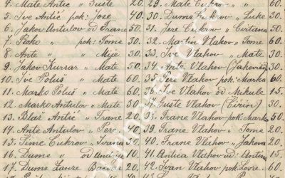 Imenik šepurinskih obitelji 1905.