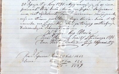 Stanje kuća i duša u Šepurini 1893., 1896., 1898. i 1900.