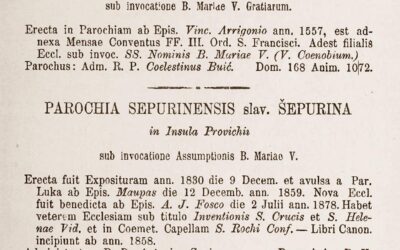 Šepurina i Luka u Šematizmu 1893.