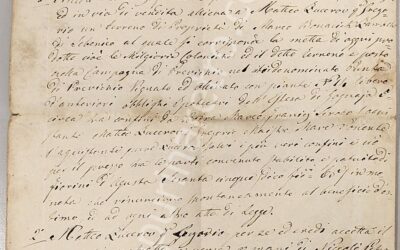 Donja Punta – Prvić