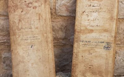 Matične knjige u arhivi samostana Gospe od Milosti u Luci