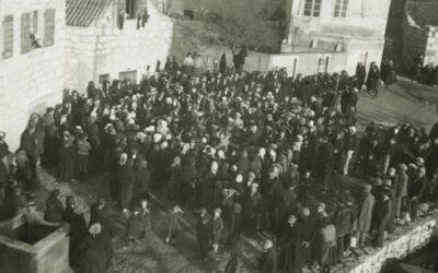 Šepurina 1929.