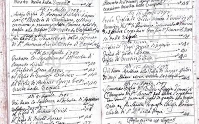 Epidemija velikih boginja 1797.